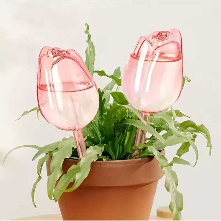 Pink Tulip Self-Watering Bulbs for Indoor &amp; Outdoor Plants