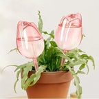 Pink Tulip Self-Watering Bulbs for Indoor &amp; Outdoor Plants