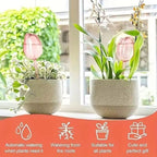 Pink Tulip Self-Watering Bulbs for Indoor &amp; Outdoor Plants