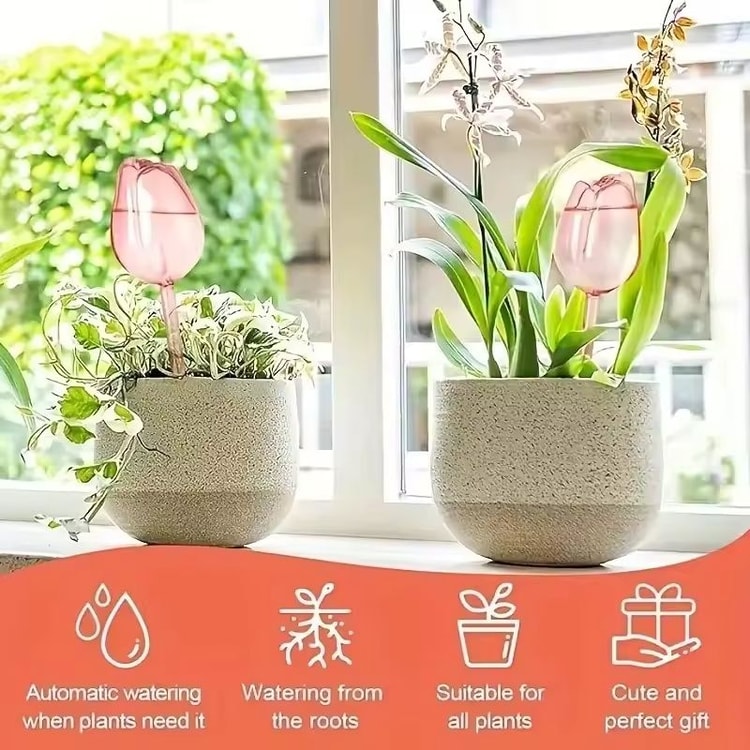 Pink Tulip Self-Watering Bulbs for Indoor &amp; Outdoor Plants