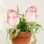 Pink Tulip Self-Watering Bulbs for Indoor &amp; Outdoor Plants