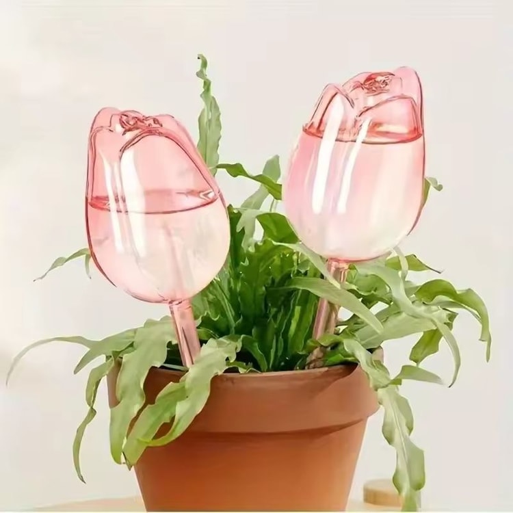Pink Tulip Self-Watering Bulbs for Indoor &amp; Outdoor Plants