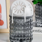 Self-Watering Plant Pot with Water Reservoir for Indoor Plants