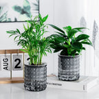 Self-Watering Plant Pot with Water Reservoir for Indoor Plants