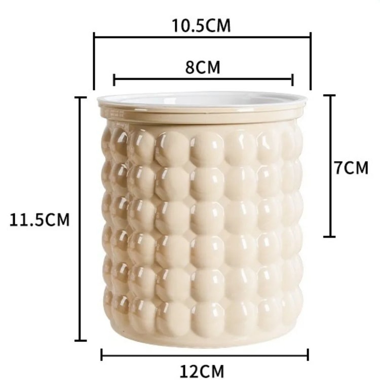 Self-Watering Plant Pot with Water Reservoir for Indoor Plants